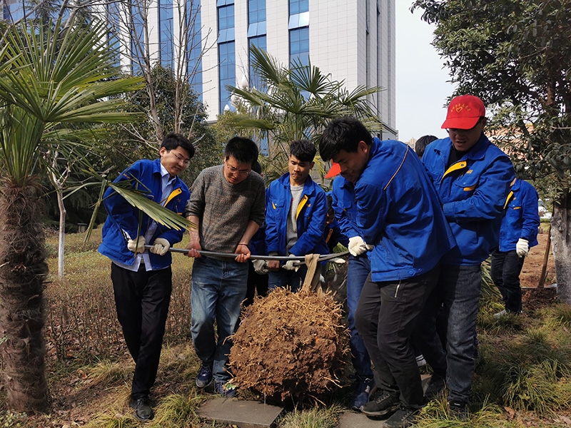 Z6·尊龙凯时「中国区」官方网站